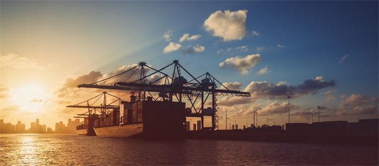 Customs in a Globalized World
